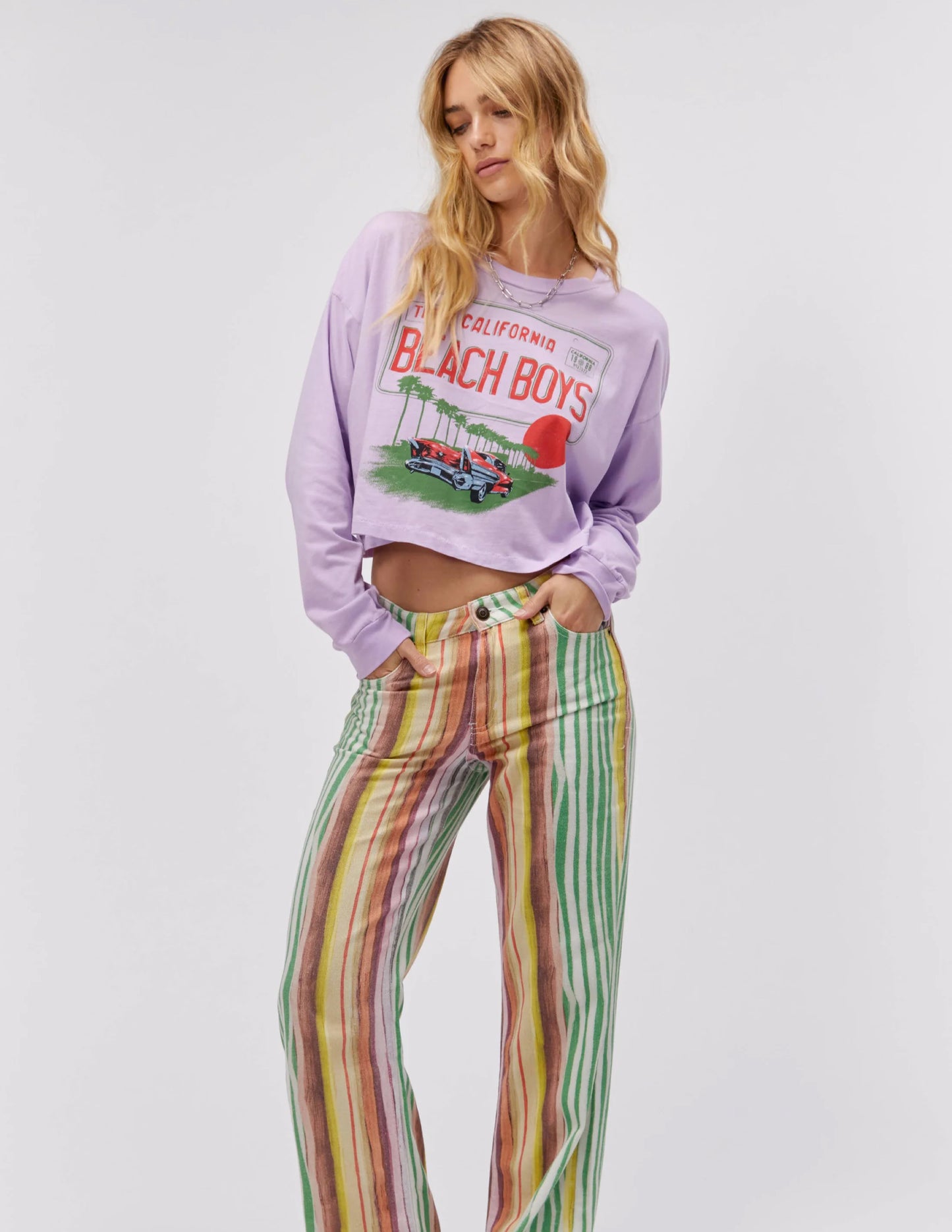 THE BEACH BOYS LICENSE PLATE CROP L/S