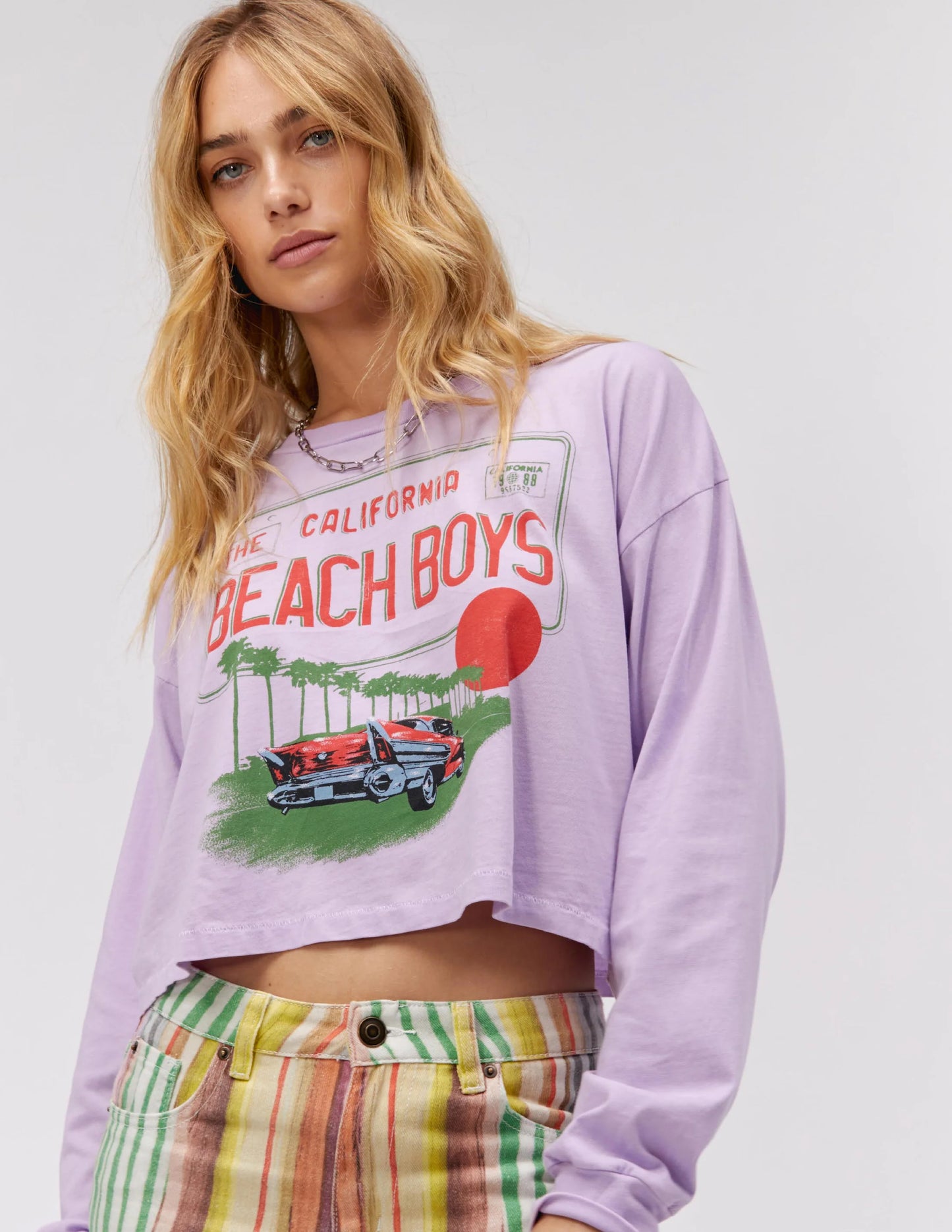 THE BEACH BOYS LICENSE PLATE CROP L/S